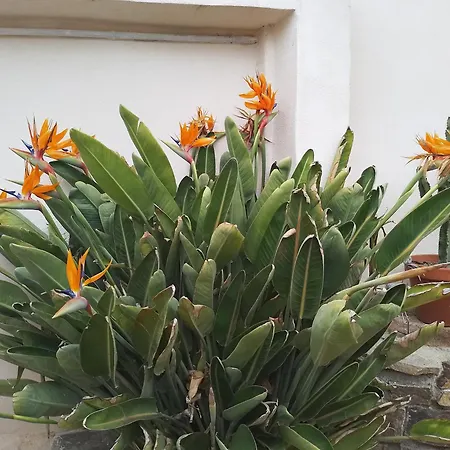 Сasa de vacaciones Le Logis Du Moulin, à 800m De La Cité Médiévale *